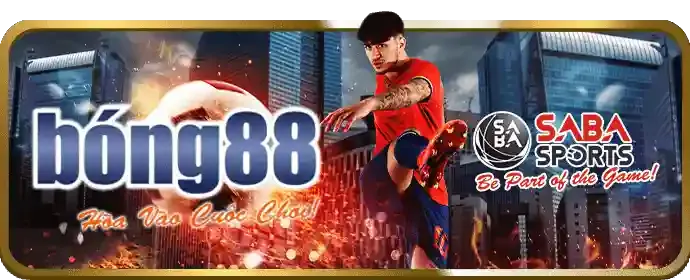 Dự đoán các trận đấu lớn